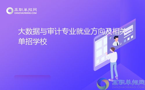 大数据与审计专业就业方向及相关单招学校技术服务